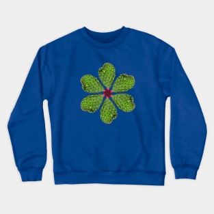 Flor de Nopal Crewneck Sweatshirt